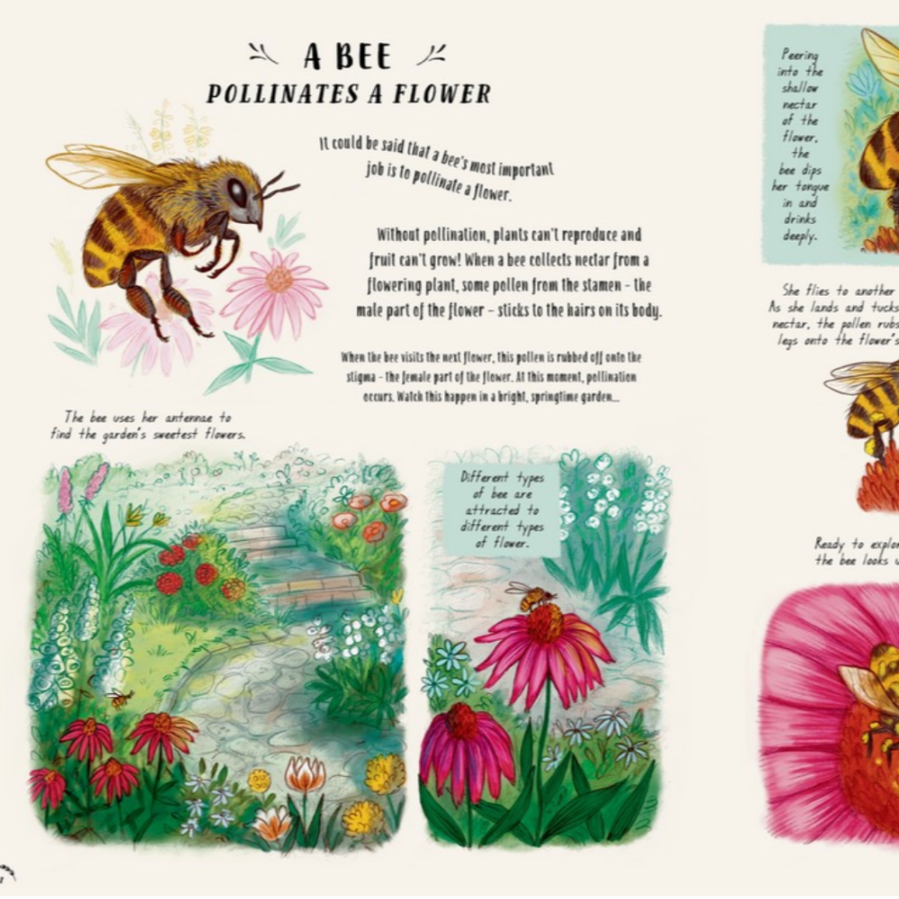 Slow Down: Bring calm to a busy world with 50 nature stories - Moosey Moose